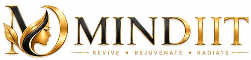 MindiIT Ventures
